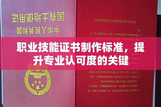 鄯善职业技能证书制作标准，提升专业认可度的关键