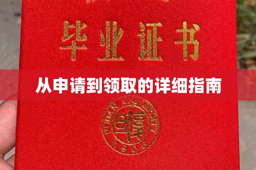 鄯善从申请到领取的详细指南