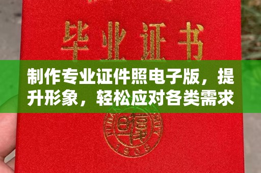 鄯善制作专业证件照电子版，提升形象，轻松应对各类需求