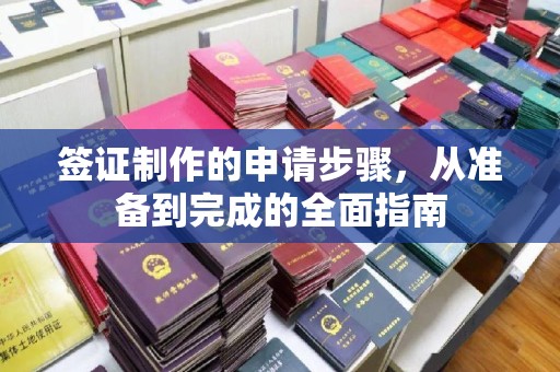 鄯善签证制作的申请步骤，从准备到完成的全面指南