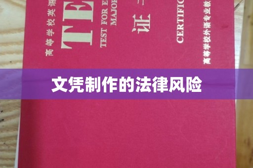 鄯善文凭制作的法律风险