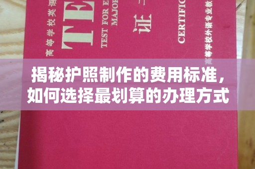 鄯善揭秘护照制作的费用标准，如何选择最划算的办理方式？