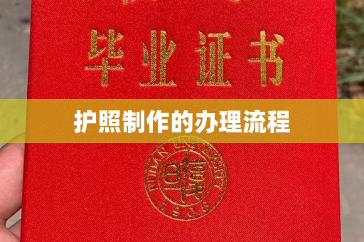 鄯善护照制作的办理流程